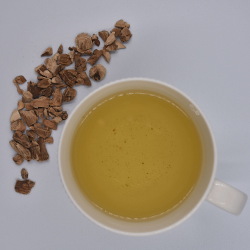 Άκορος Κάλαμος