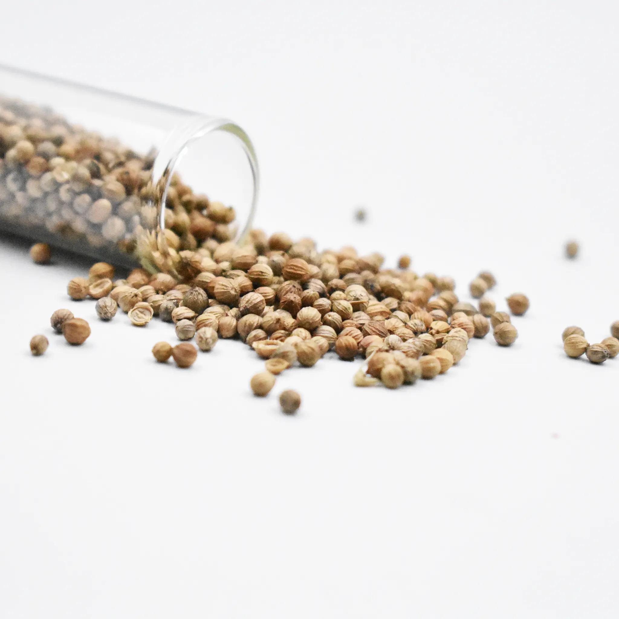 Κόλιανδρος Σπυρί