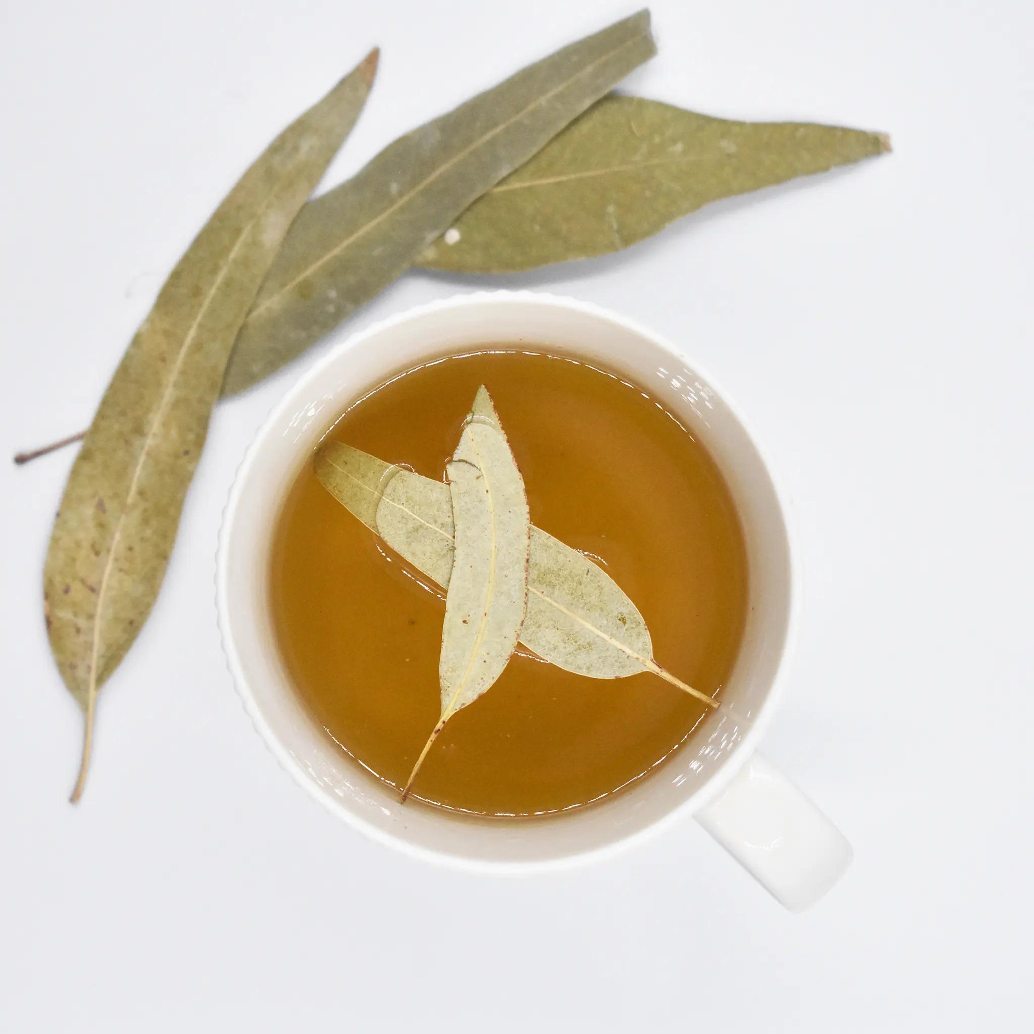 Ευκάλυπτος